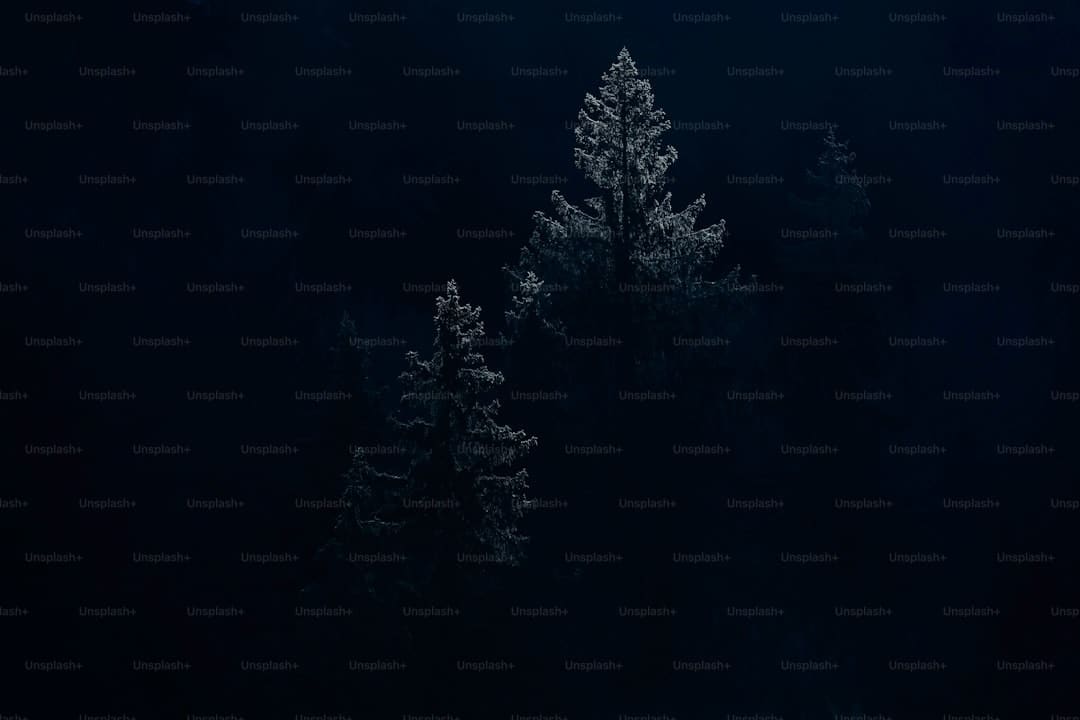 紧迫救援，AED显神通