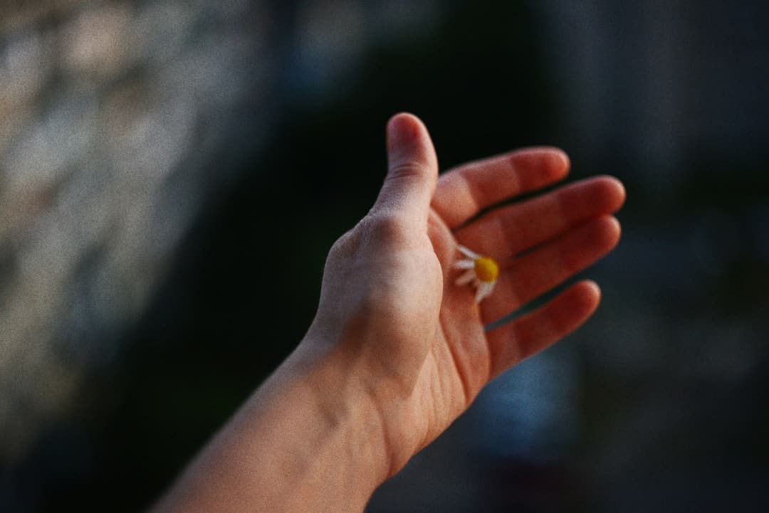 赵豪杰：撤销“一票否决制”是欧盟的良药吗